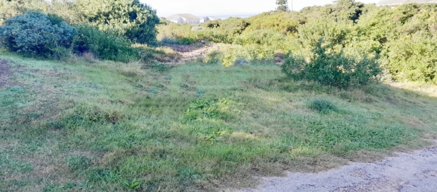 0 Bedroom Property for Sale in Paradise Beach Eastern Cape